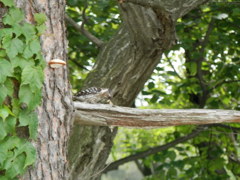 2012.6.5ｷﾂﾂｷ２