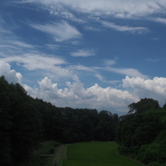 里山風　夏