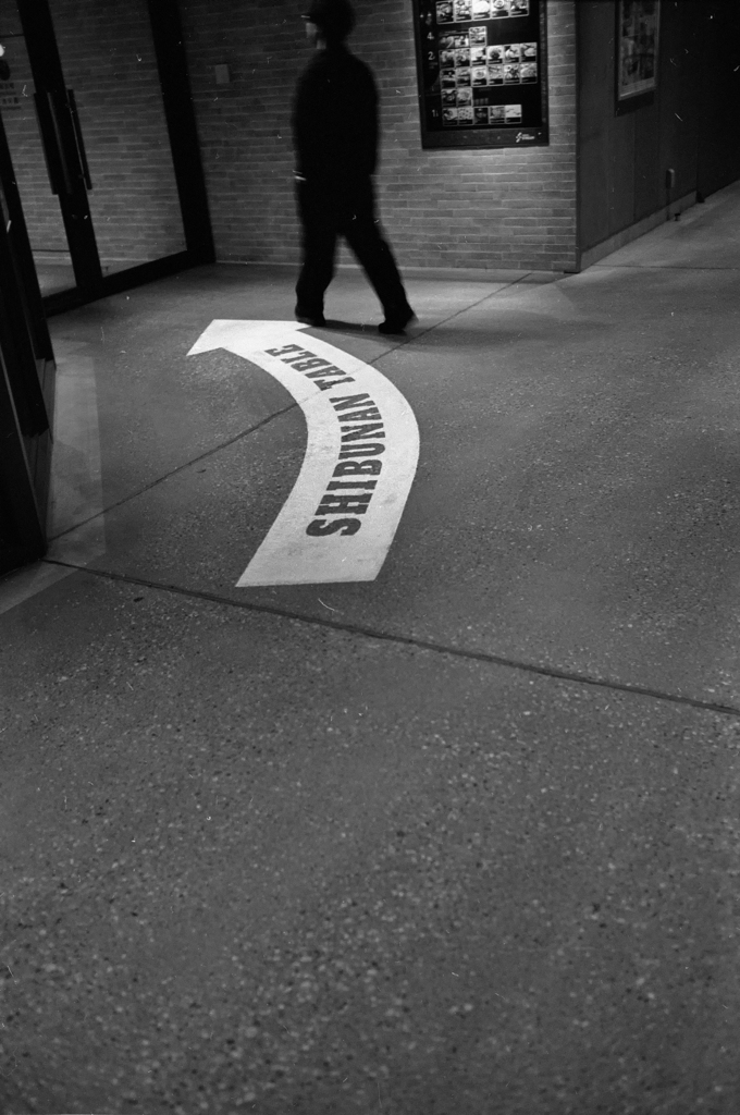 導かれるがままに