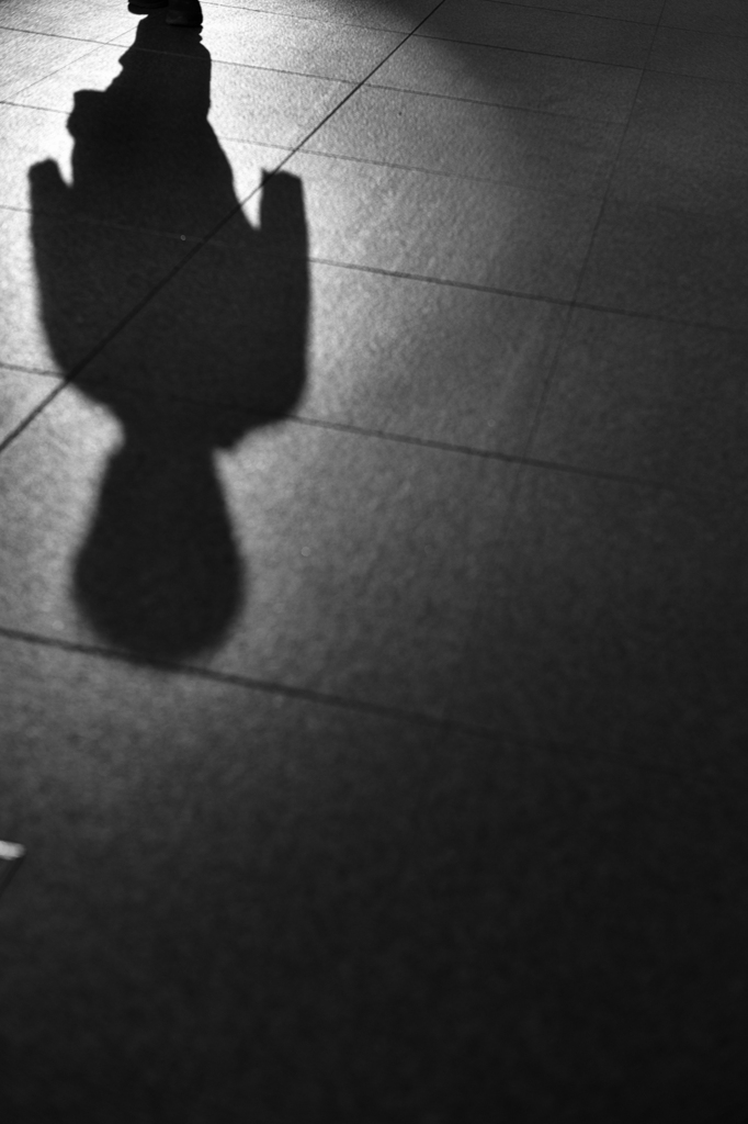 Shadow
