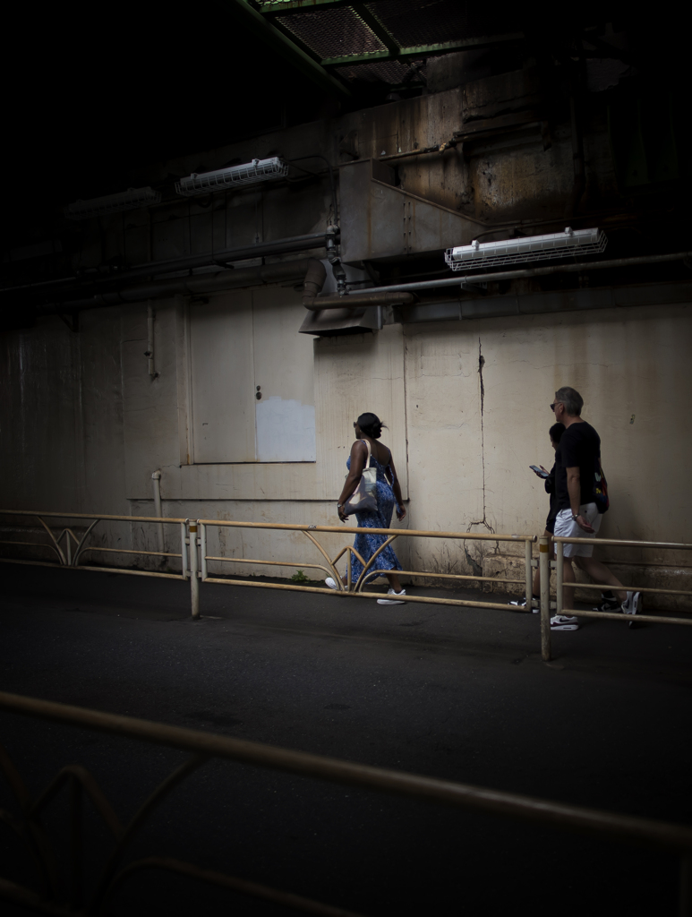 湿り気のある光