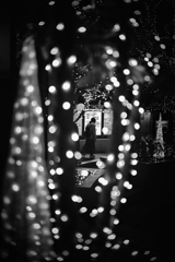in the illumination