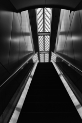 on the escalator #3