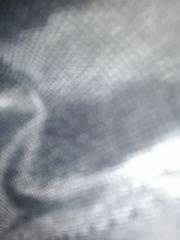 何が写っているいるんだろう…