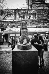 待ち侘び 待ち侘び