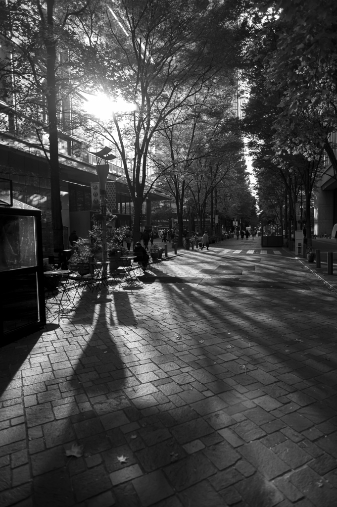 Marunouchi Street Park