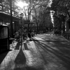 Marunouchi Street Park
