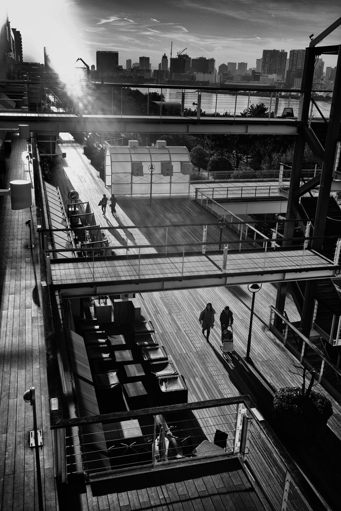 long shadow #3