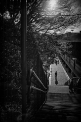 silhouette #74 ＠谷中