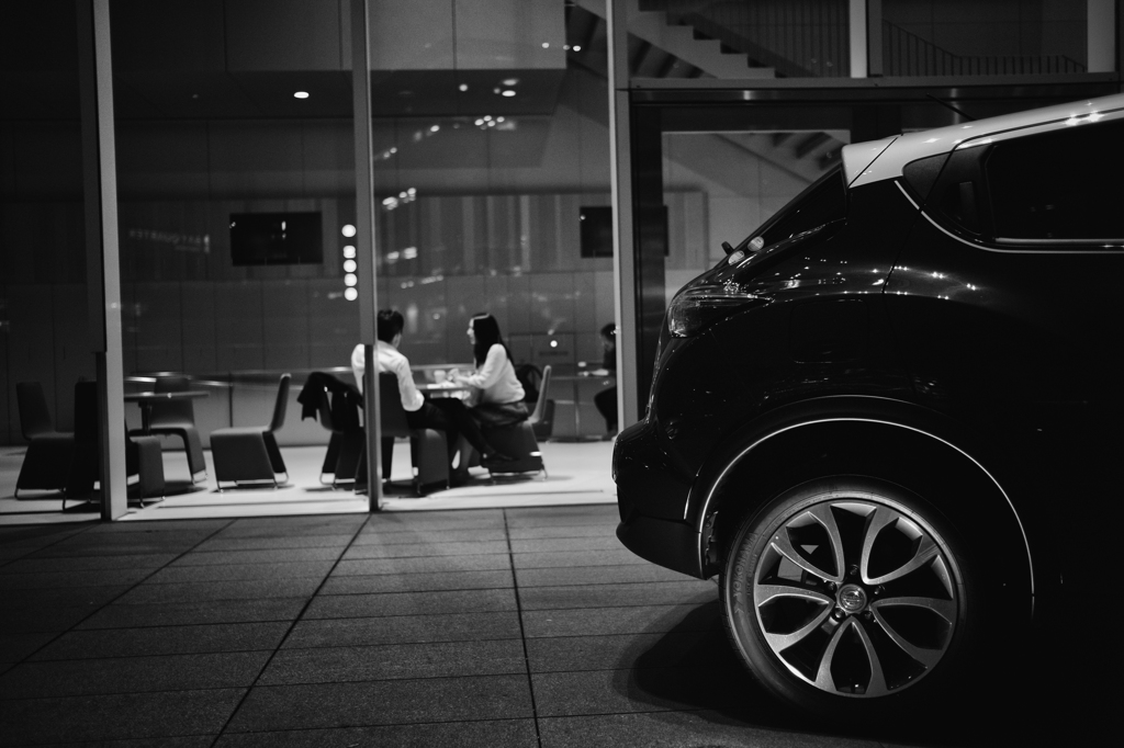 Human and Automobile (2)