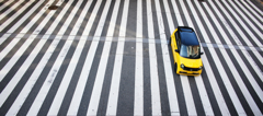 Black and Yellow と STRIPE