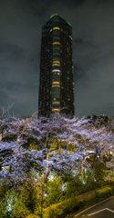 桜のある風景