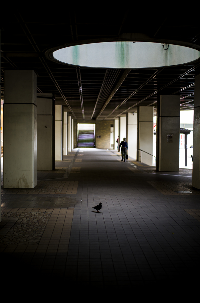 フォトグラフ #2