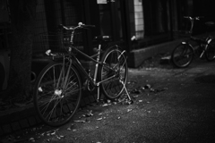 街角自転車　#48
