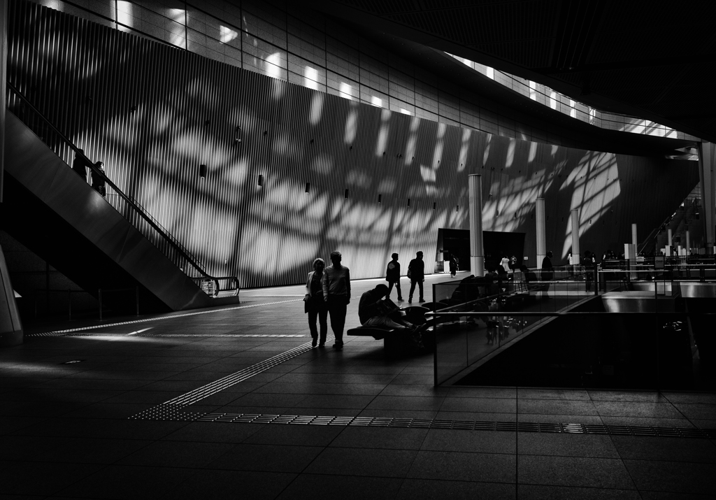 silhouette #62