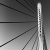 アートなアーキテクチャ