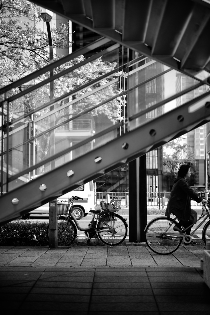 街角自転車 #23