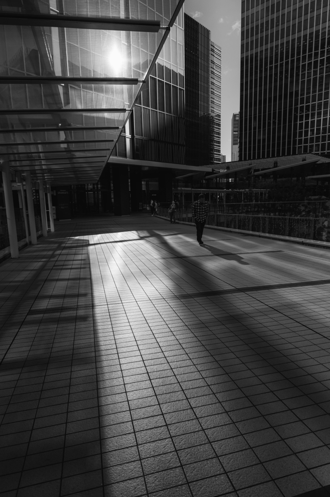 light & shadow