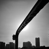 silhouette #107