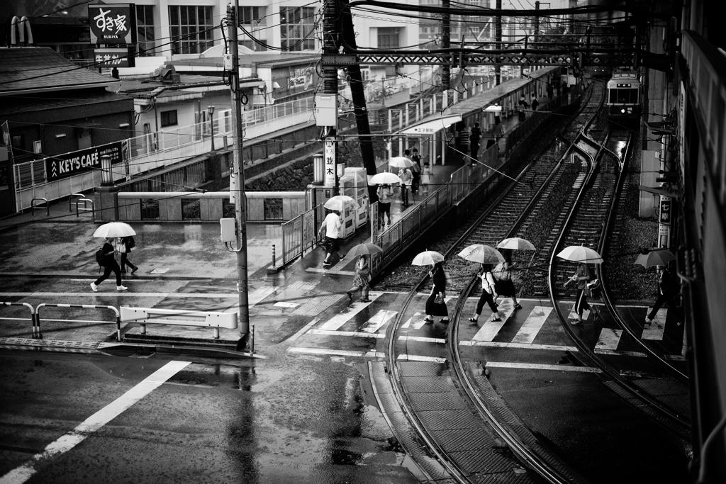 Umbrellas on the pavement