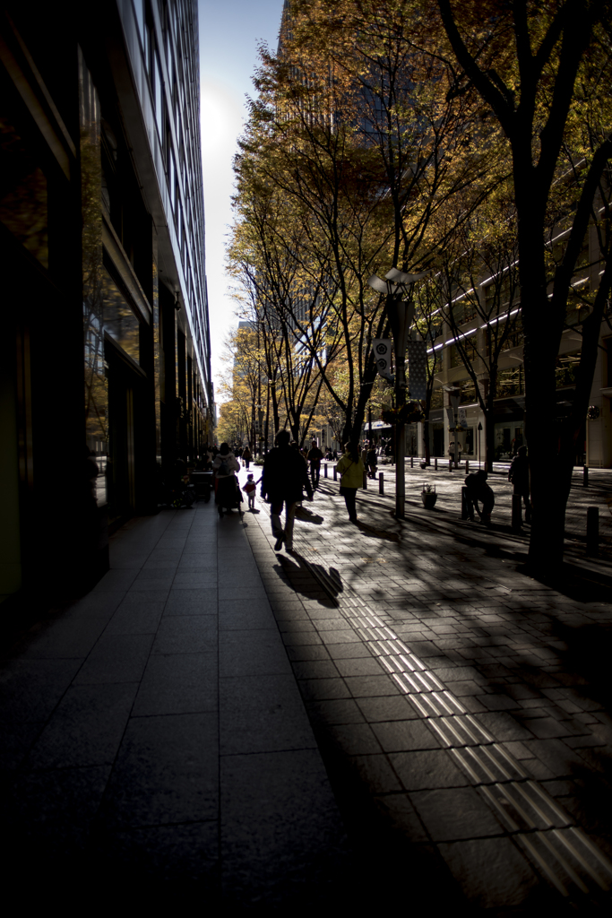 光と影のせめぎあい