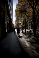 光と影のせめぎあい