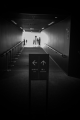 ←　↑　（どっちに行こうか？）