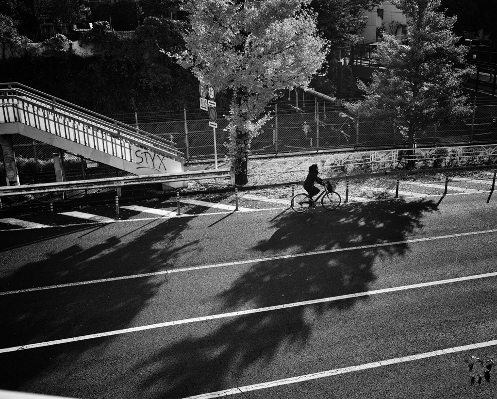 秋の晴れの日 自転車