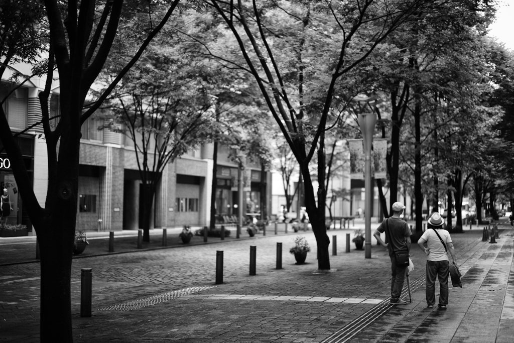 さて、これからどうしたものか (2)