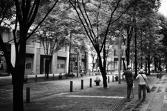 さて、これからどうしたものか (2) さて、これからどうしたものか (2)