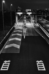 首 首