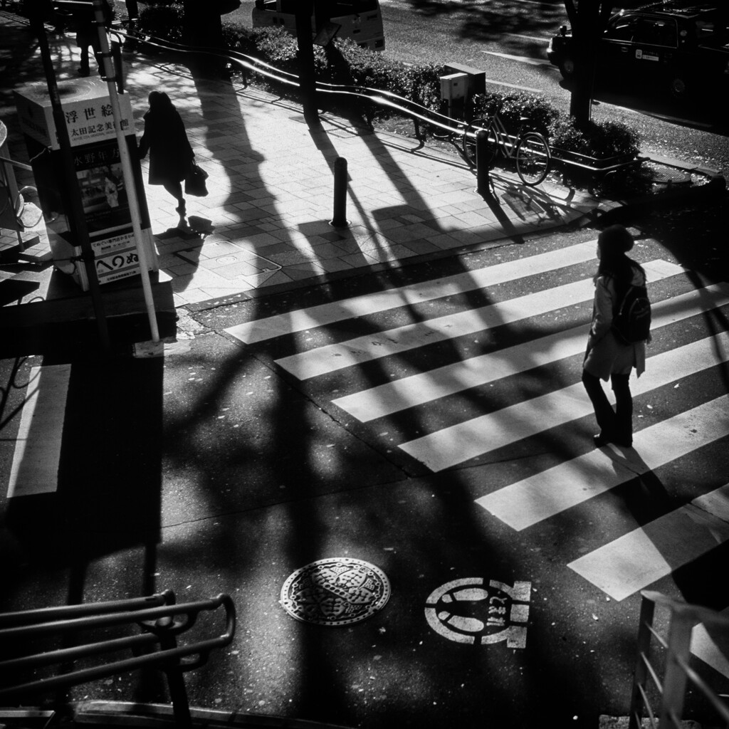 silhouette and shadow