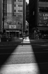 光の小道