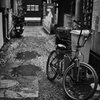 街角自転車 #68