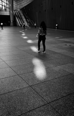 follow  the lights...