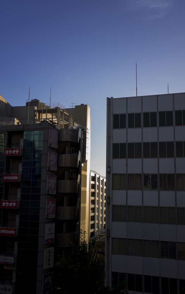 隙間から夕暮れ