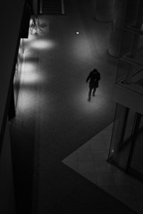 silhouette #75