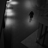 silhouette #75