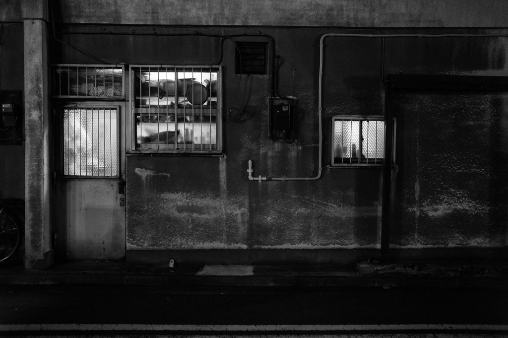 a fascinating door #9