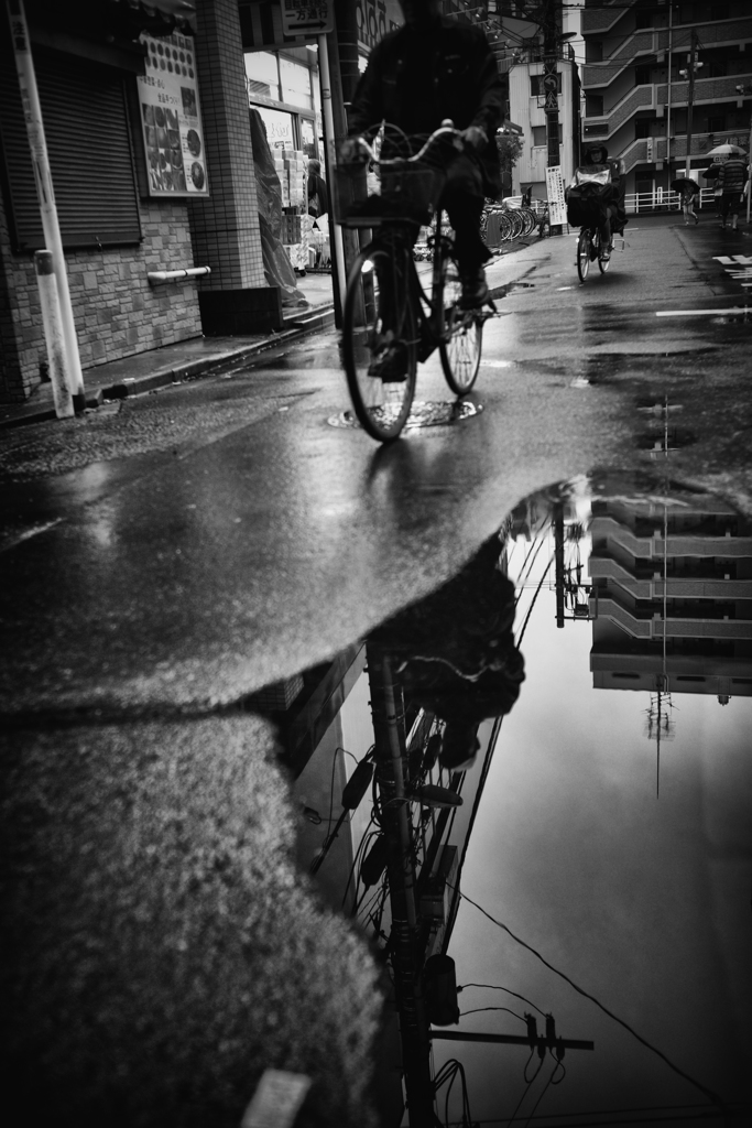雨上がりの道