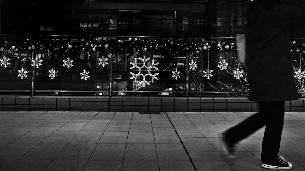 Walking with Snow Crystal