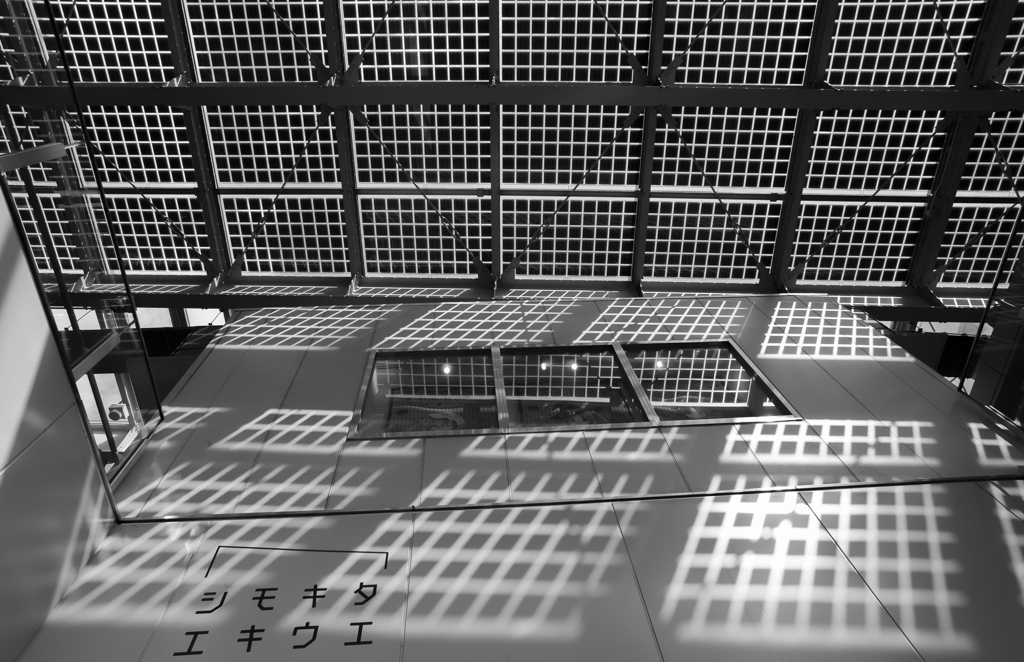 light and shadow