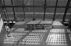 light and shadow