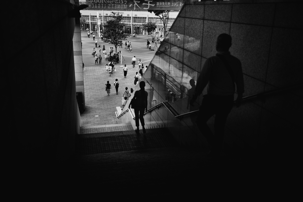 silhouette #49
