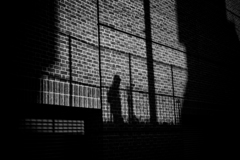 Shadow on the brick wall