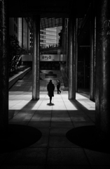 silhouette #70