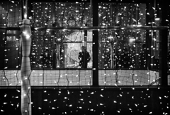 silhouette in the electric snow