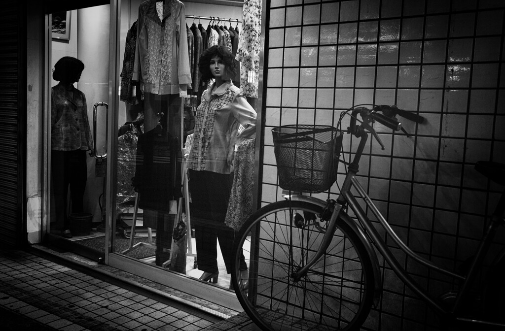 美女と自転車