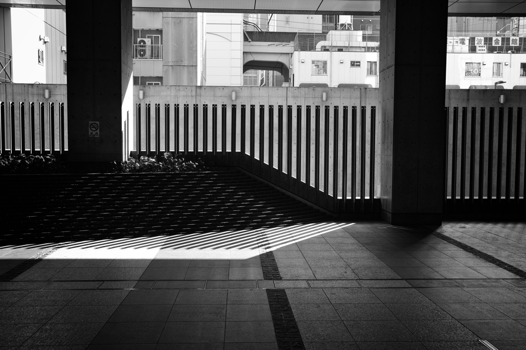 stripe #8