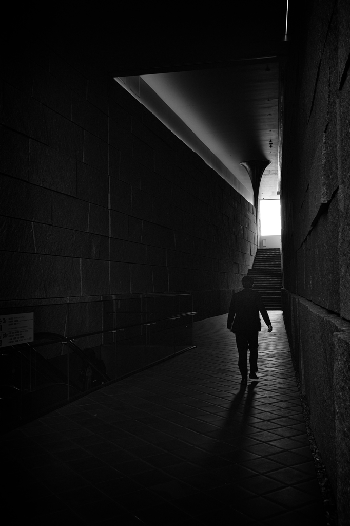 silhouette #31
